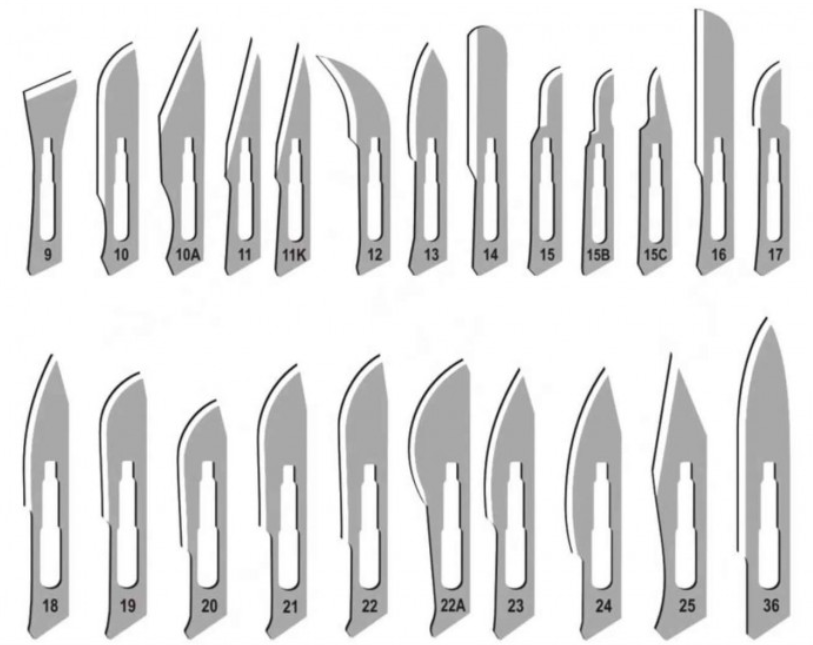 img1117087.png img1117087.png