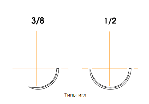 img1115307.png img1115307.png